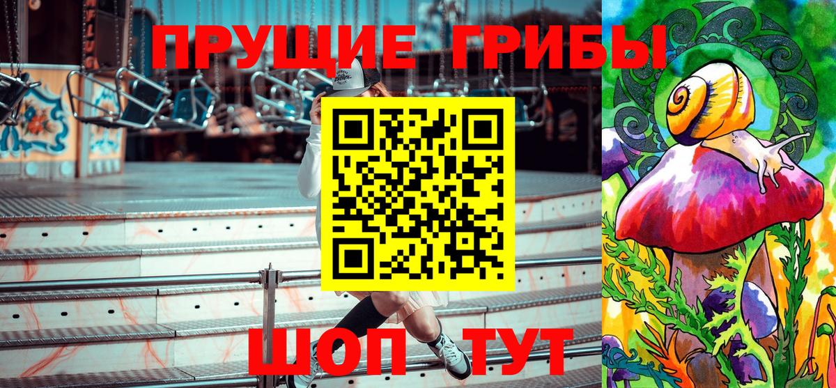 Галлюциногенные грибы Psilocybe Чайковский